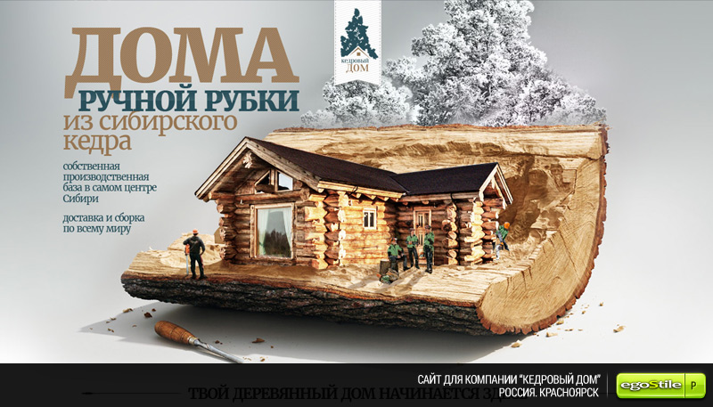 Кедровый дом. Красноярск.